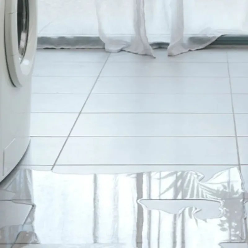Appliance Leak Cleanup in Pismo Beach, CA
